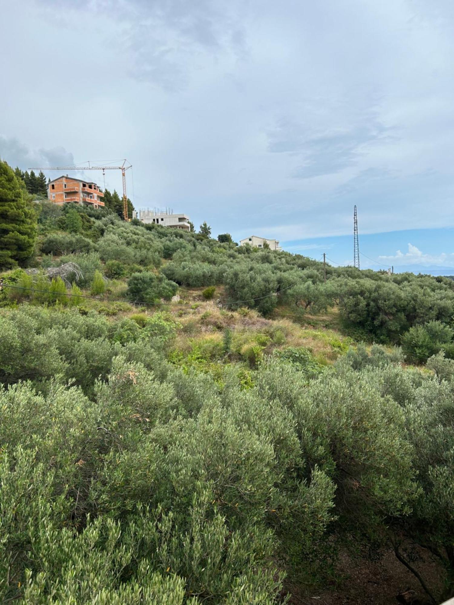 Apartment Mileta Makarska Eksteriør billede